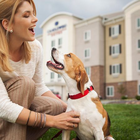 Sonesta Simply Suites Dallas Richardson Dış mekan fotoğraf